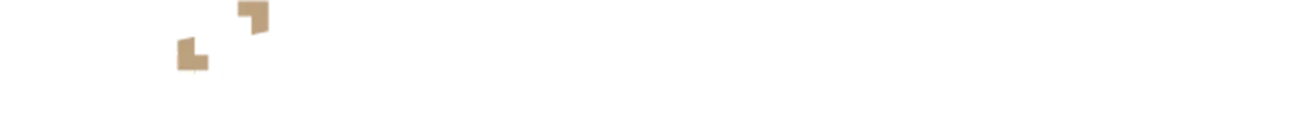 Authense Professional Group